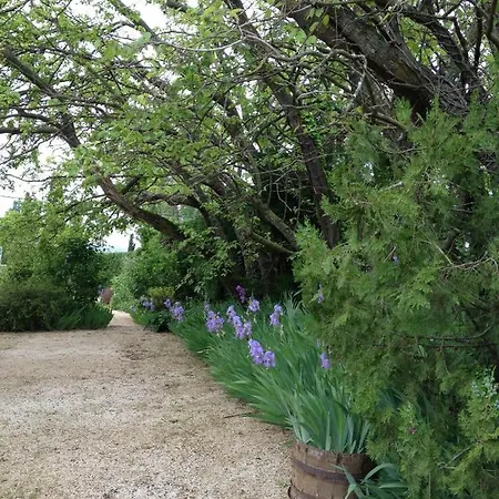 Contemporain Le Jardin Vaison-la-Romaine